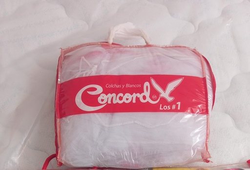 Pabellón Concord 